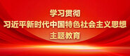 美女日B免费的视频学习贯彻习近平新时代中国特色社会主义思想主题教育_fororder_ad-371X160(2)